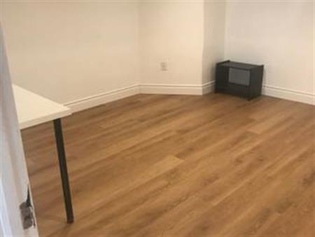 1 bedroom basement apartment