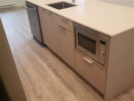 Brand new 2 bath/bed