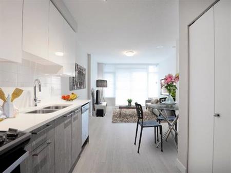 Modern and Elegant One Bedroom In Central Location