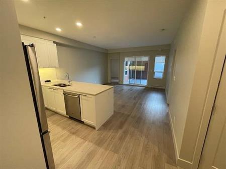 Modern 2BR/2BA/In suite laundry/SS appliances/Walk in shower/No pets