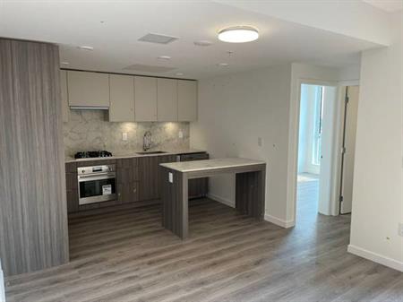 Brand New Condo