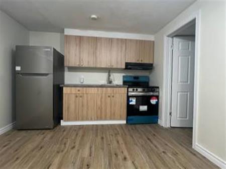 Spacious basement for rent in Guelph