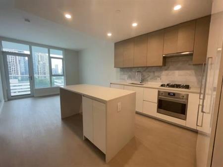 $3,300 / 2br - 720ft2 - 11 Floor Brand New 2-Bed 2-Bath Suit with Air