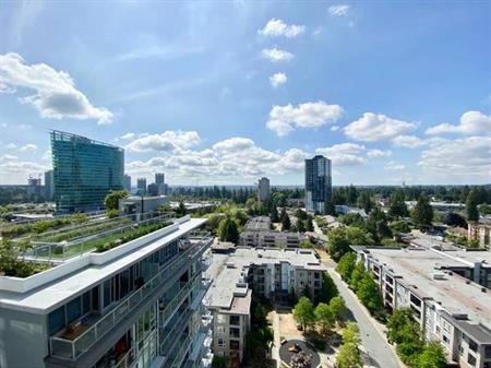 Surrey Central Functional Two Bedroom suite next to SFU!