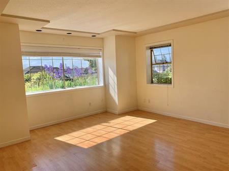 Large Sunny Ground Level Suite For Rent