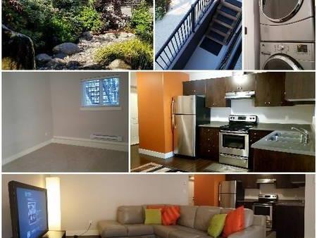 Langley 2bdr,semi basement for Rent