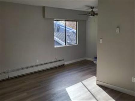 Quiet and Spacious 1 Bedroom Apartment (Unit 314)