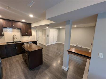 Bright and Clean Fort Langley Basement Suite