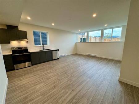 1 Bedroom Rental Suite - BRAND NEW