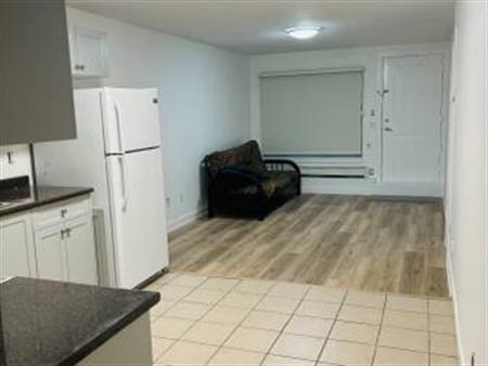 $1600 one large new basement available now (Goldstone elementary