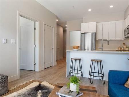 Luxury Vinyl Plank Flooring, 1 BD, Port Moody, Modern, Open Concept!