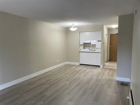 Spacious One-Bedroom Apartment for Rent Starting Nov 1