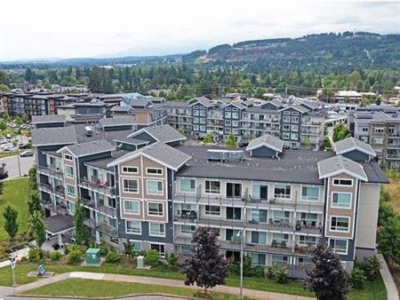 On-Site Maintenance, Bike Storage, Dishwasher