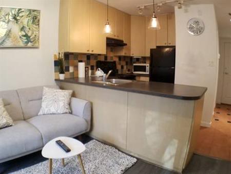 1 Bedroom Apartment in Downtown/Yaletown - Furnished