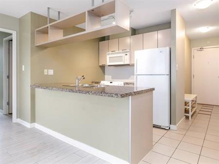 Bright & Spacious 2 Bed, 2 Bath Condo in Vancouver Downtown