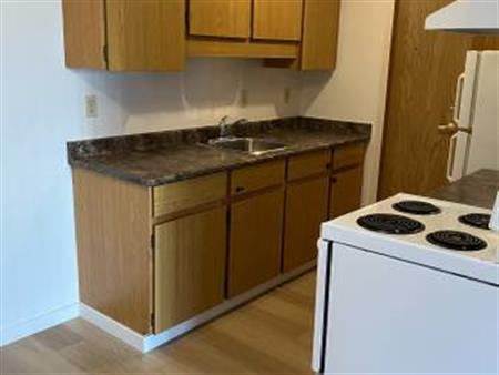 Spacious 2 bedroom units in a PET FRIENDLY BUILDING