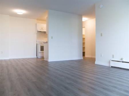 Spacious Cloverdale One Bedroom