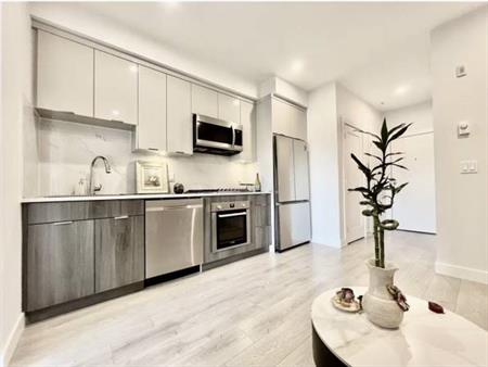 Stunning Rental Opportunity, brand new condo