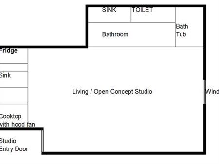 AVAIL NOW - Brand New Studio - Pet Friendly - East Van Trout Lake