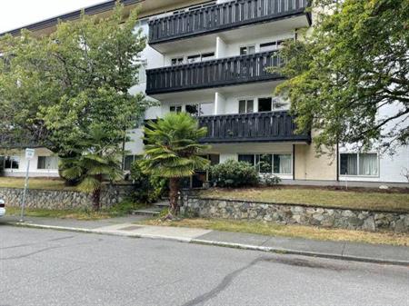 Cozy 1-Bedroom Apartment in Cherry Blossom Court