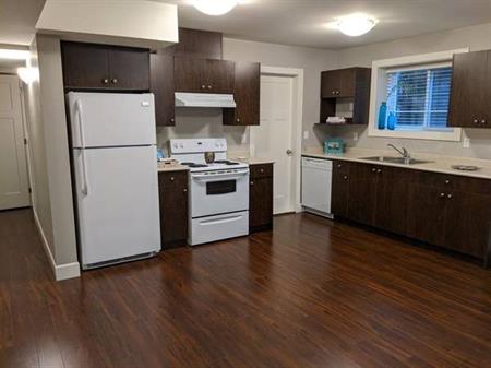 2BD 1 BA Basement Suite (Utilities Included)