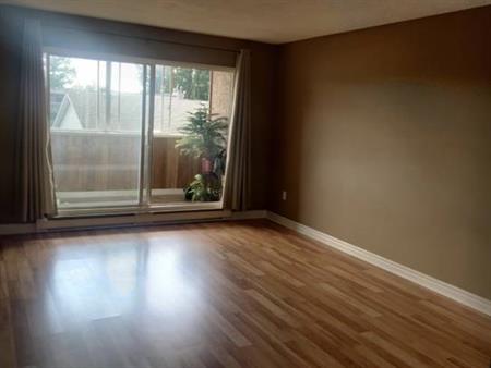 2 bedrooms 1 bath Parksville apartment