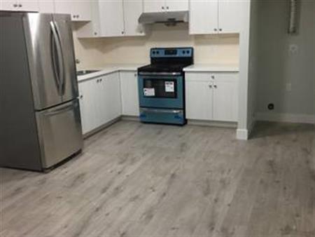 Upscale 1 Br Basement W/ Laundry (10 mins from 22nd street skytrain)