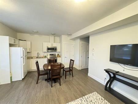 South Surrey furnished 2 bed 1 bath basement with 1 den