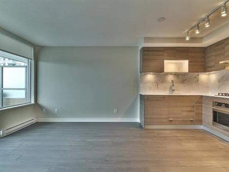 Bright and Spacious 1 Bed + Den Apartment - $2600 (Burquitlam)