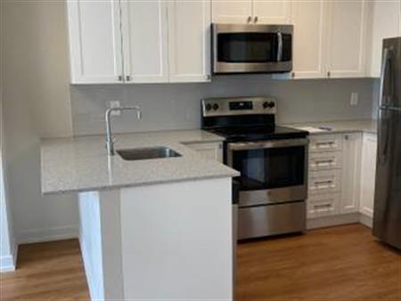 Social Room, Quartz countertops, Pet-Free