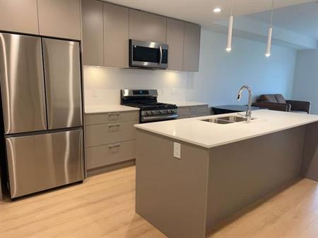 Langley BRAND NEW 1 bedroom FURNISHED condo close to Carvolth exchange