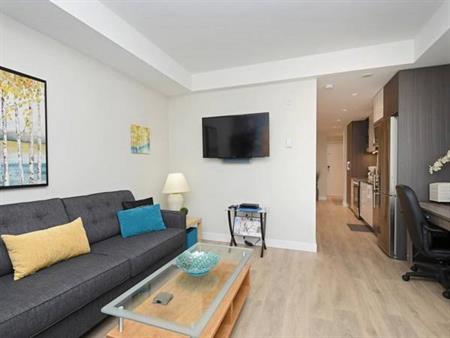 Fully Furnished 1 bedroom Unit Available - Lease Term Flexible