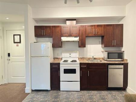 1bdrm plus den condo