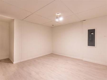 spacious 1 bedroom basement suite