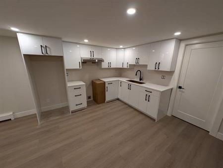 2 bed 1 bath basement suite Burnaby Mountain