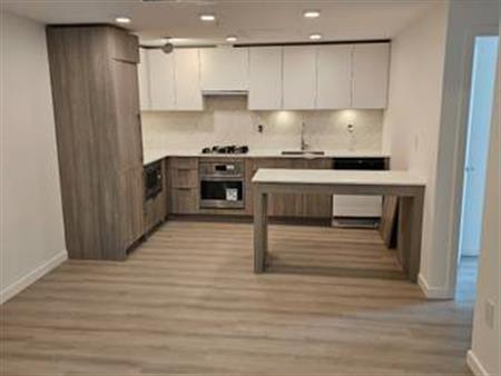 Brand New 1 Bed + 1 bath condo for rent