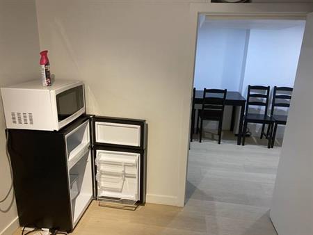 Furnished basement one bedroom suite - newly renovated