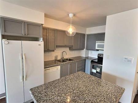 Yonge St./Sheppard Ave. Stunning 1Bdrm Upgraded Full Kitchen Near Sub