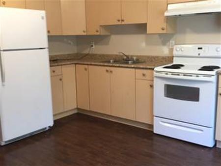 1 Basement Suite Surrey (132nd and 88ave) – Available November