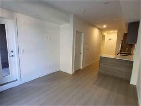 Brand new 1bed unit in Surrey Central