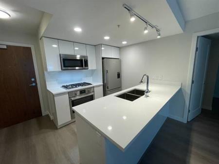 Capstain Station New 2 Bed 2 Bath Plus Den Condo with Garden