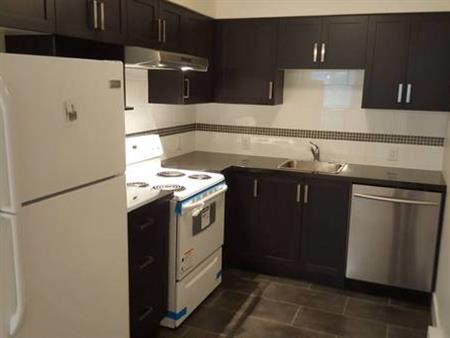 2 Bed / 1 Bath Basement Suite ( Burke Mtn)