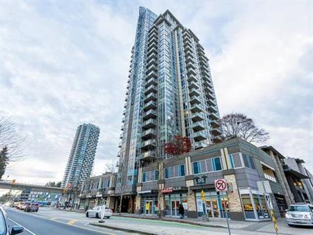 One bedroom Highrise condo for rent in Coquitlam Center