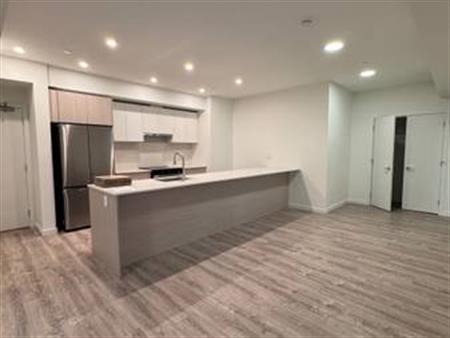 Brand New 2 Bed / 2 Bath condo (in-suite laundry)