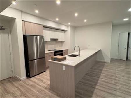 Brand New 2 bed / 2 bath condo