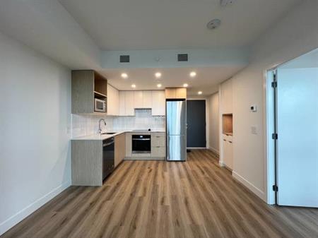 BRAND NEW 1 bed/1 bath condo (#2409)