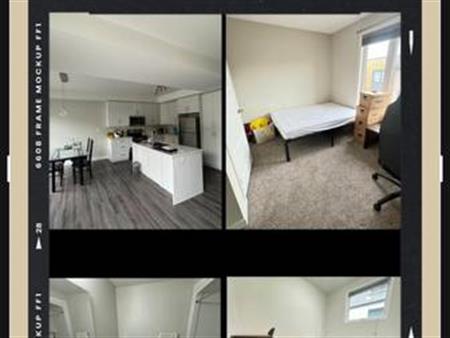 LUXURY ROOMS BY UNIVERSITY( HOUSE)