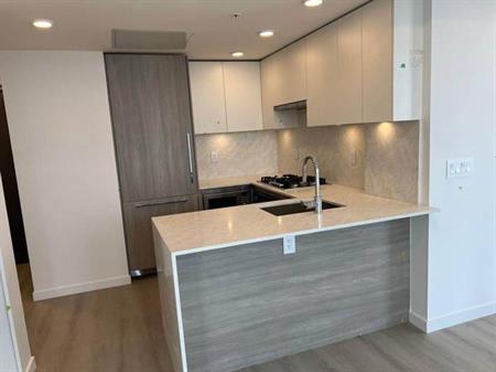 Brand New 2 Bed 2 Bath Beside SFU - Available Immediately or Nov 1st