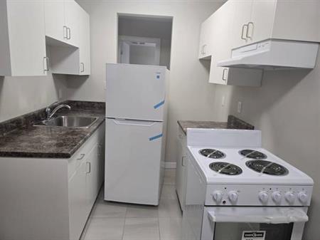 1 BEDROOM SUITES BRAND NEW RENOVATED NORTH BURNABY ALBERT STREET