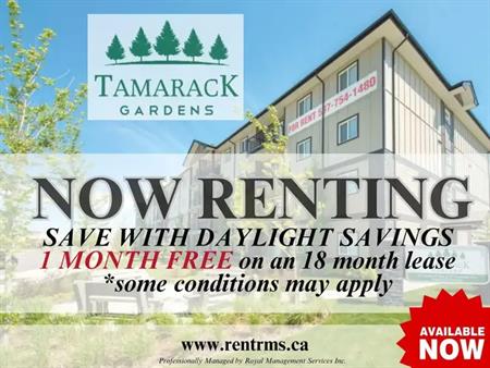 Tamarack Gardens Ltd. | 707 Tamarack Way NW, Edmonton